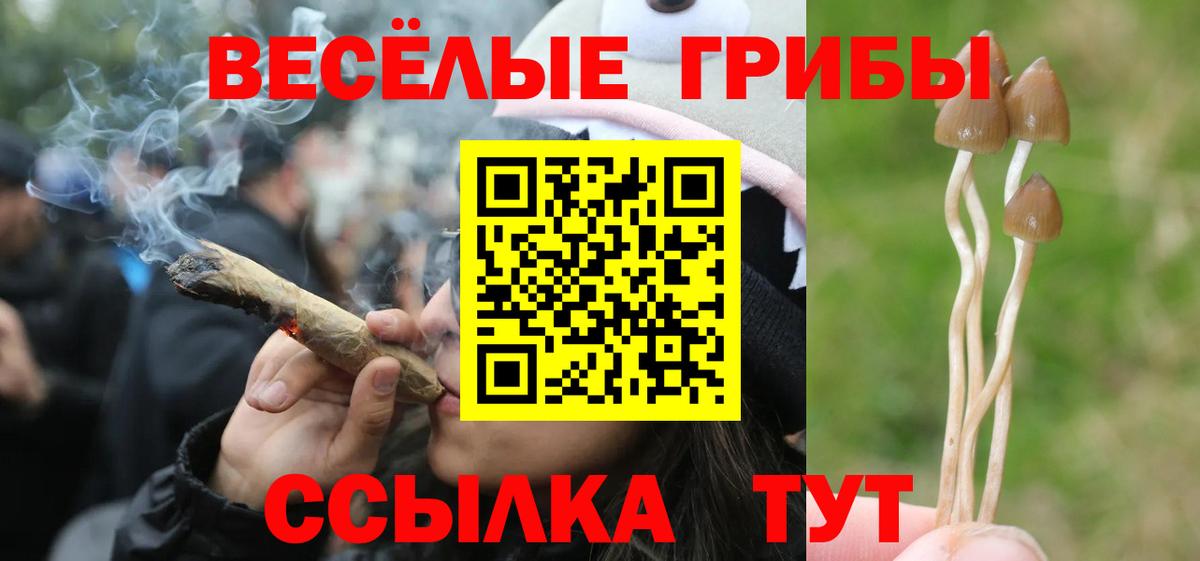 Саянск  Галлюциногенные грибы прущие грибы  Вход с VPN 